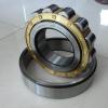 100 mm x 215 mm x 47 mm da min NTN NJ320EG1C4 Single row Cylindrical roller bearing #1 small image
